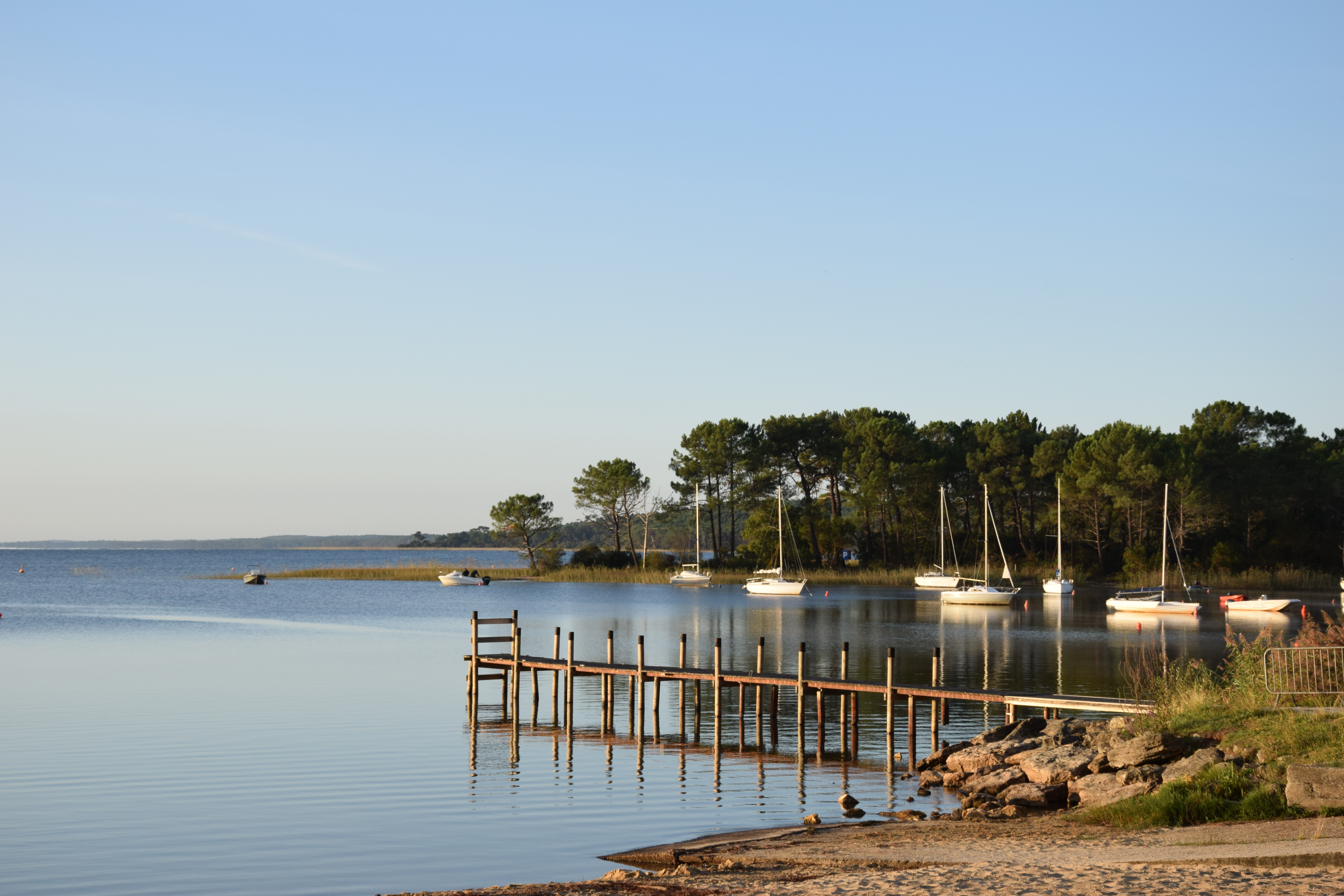 Sentier des chevreuils sportifs - Réserve Naturelle de Hourtin - photo 2
