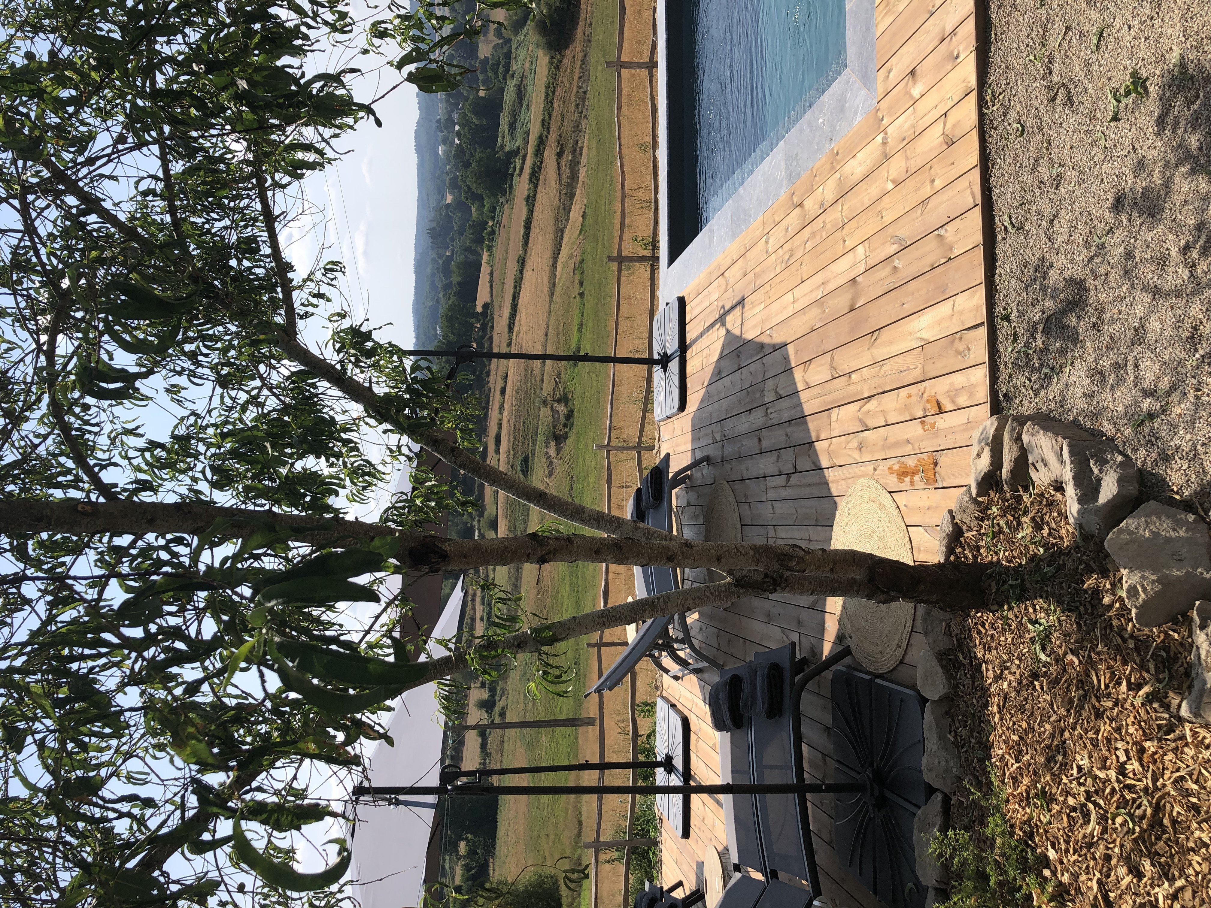 La petite chouette - photo 4