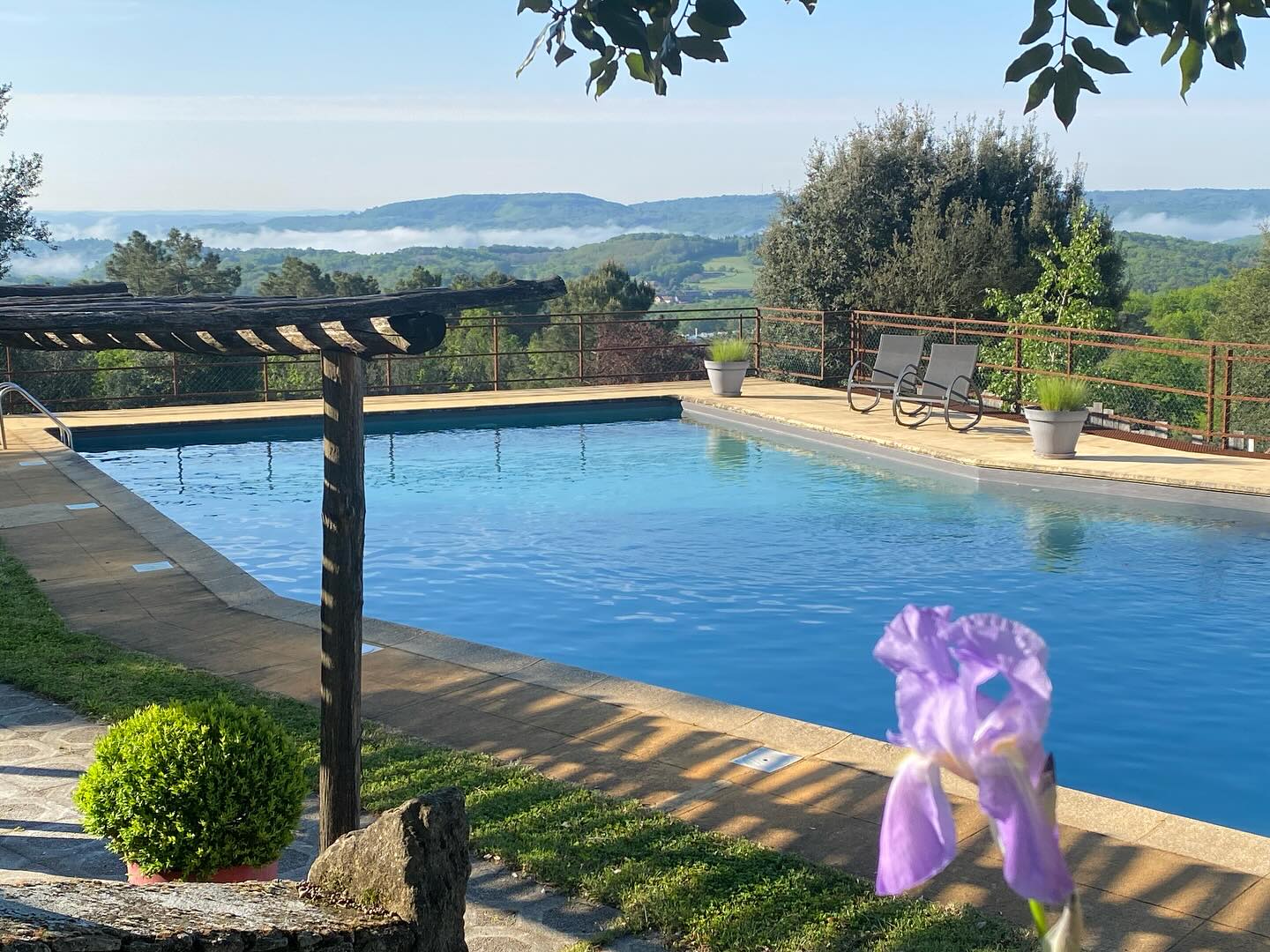 Studio verger (Abelia)