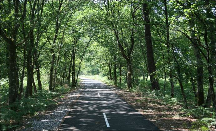 Piste Cyclable "Lo Camin de Hè" - photo 2