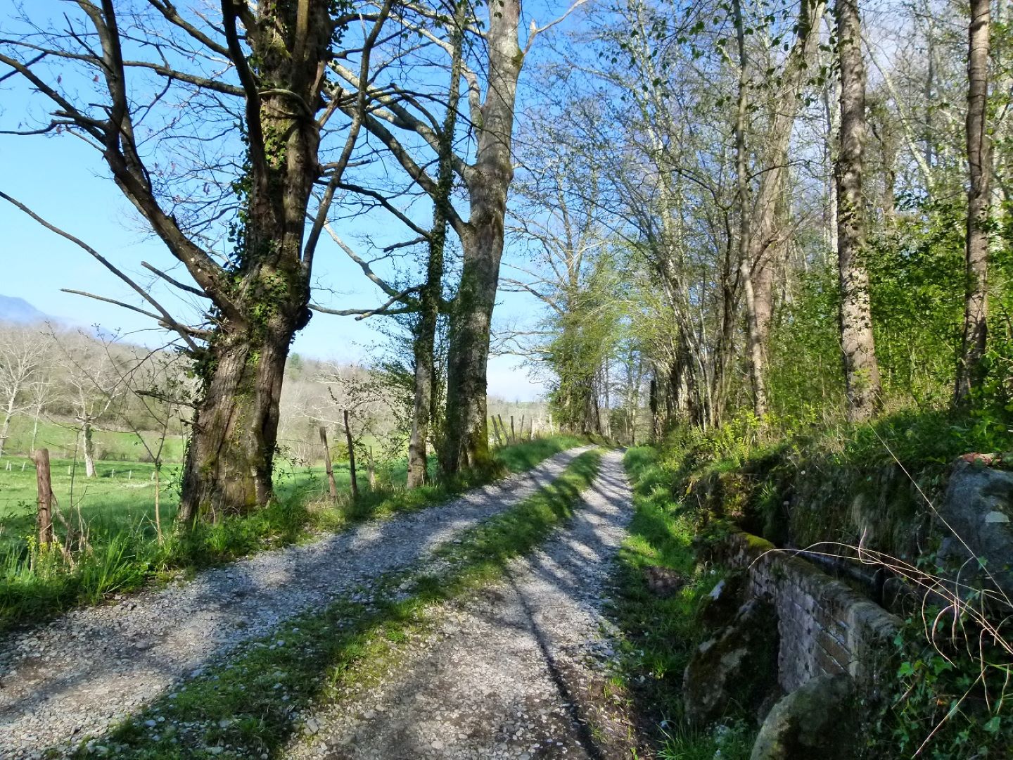 La tourbière, Sainte-Colome