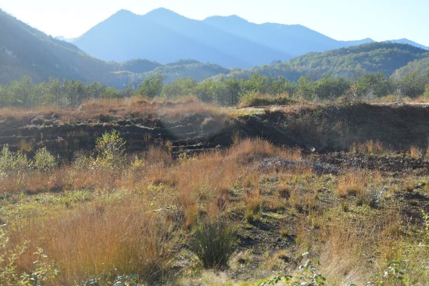 La tourbière, Sainte-Colome - photo 2