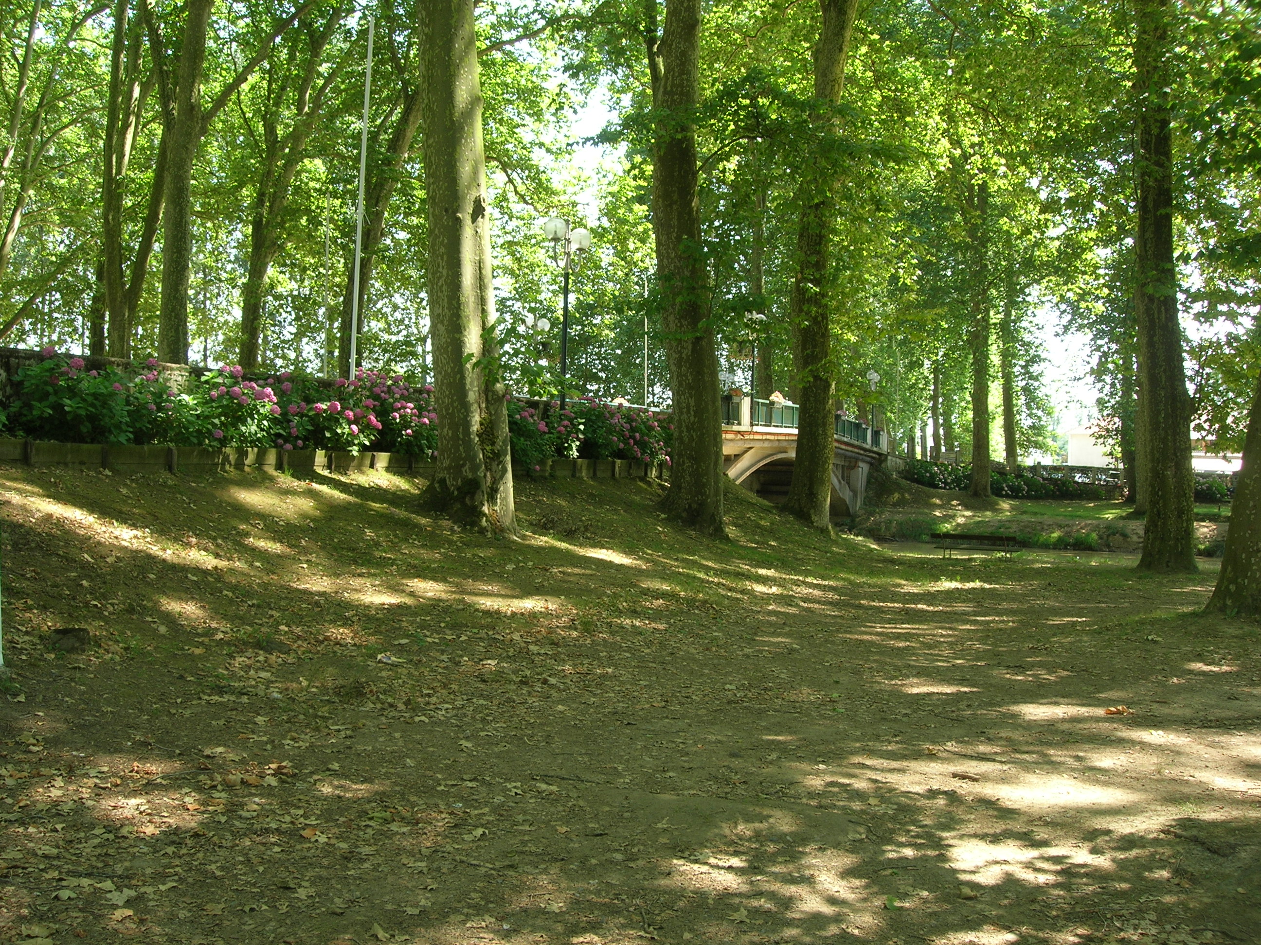 Aire de pique-nique au bord du Luy