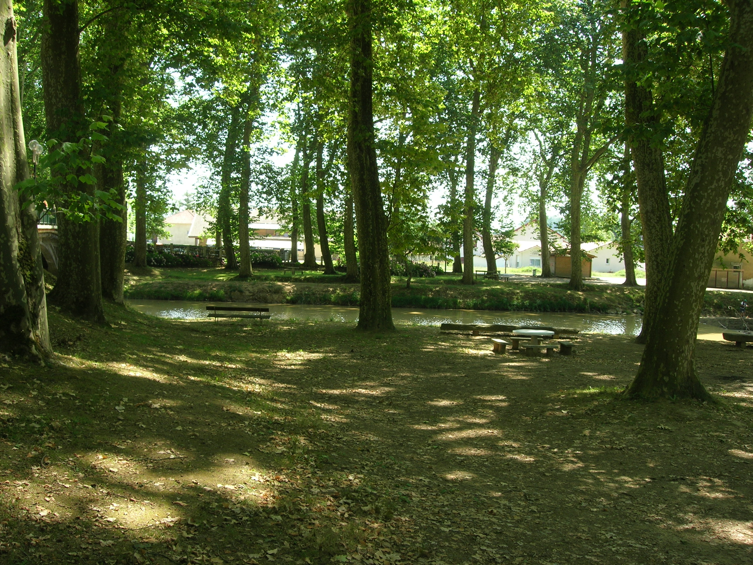 Aire de pique-nique au bord du Luy - photo 2