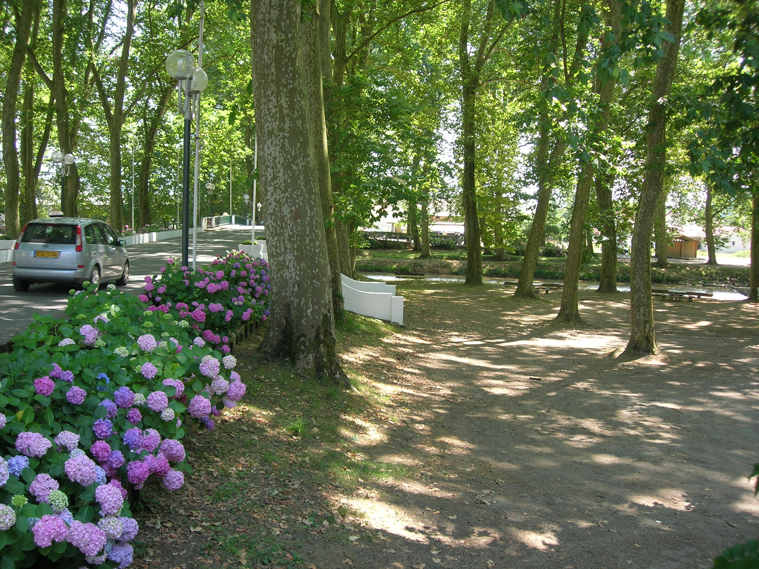 Aire de pique-nique au bord du Luy - photo 3