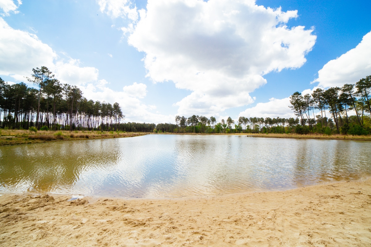 Domaine Départemental Gérard Lagors : ouvert partiellement - photo 3