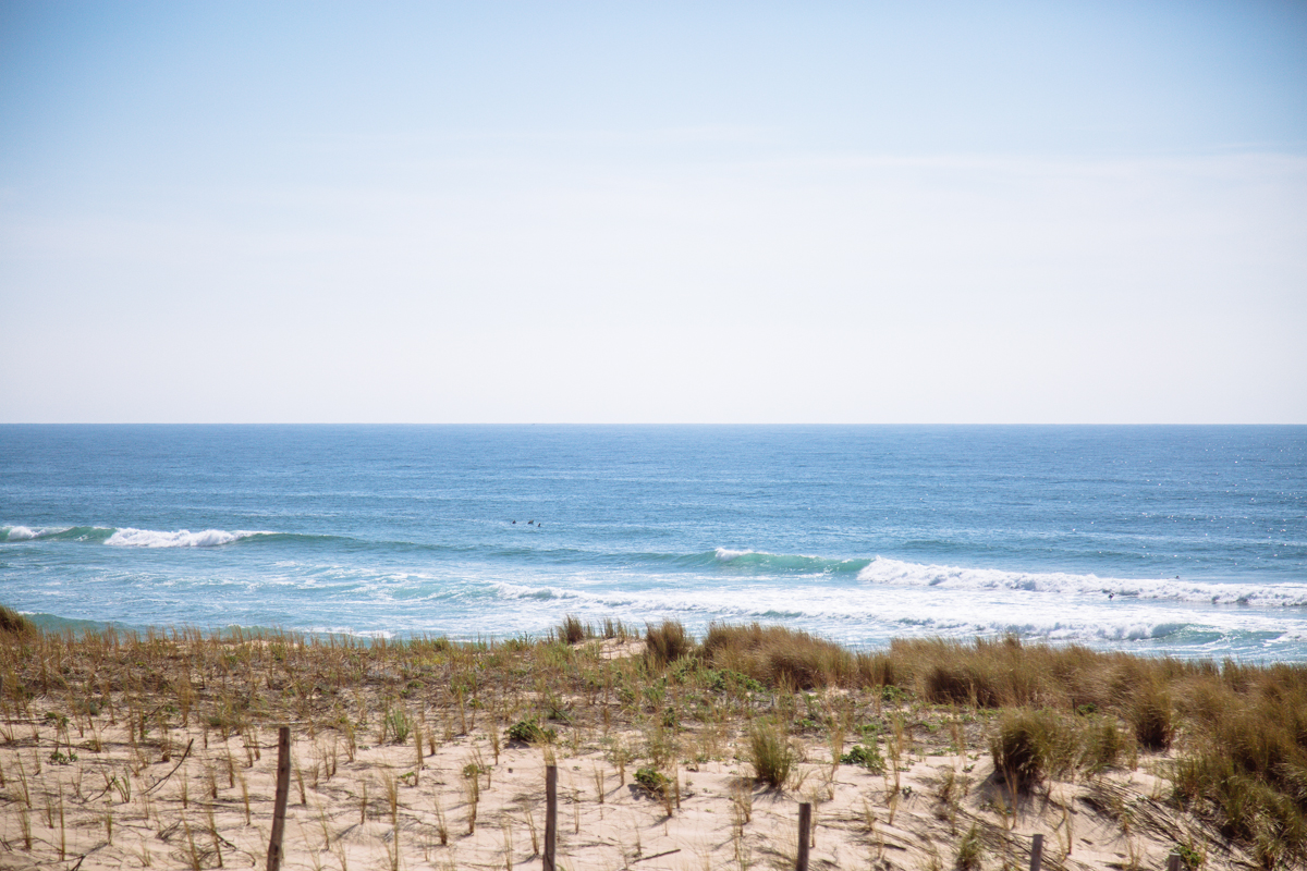 Plages océanes et forêt - Lège Petit Crohot, Lège-Cap-Ferret - photo 2
