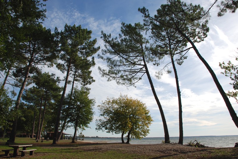 Plage de Cazaux Laouga