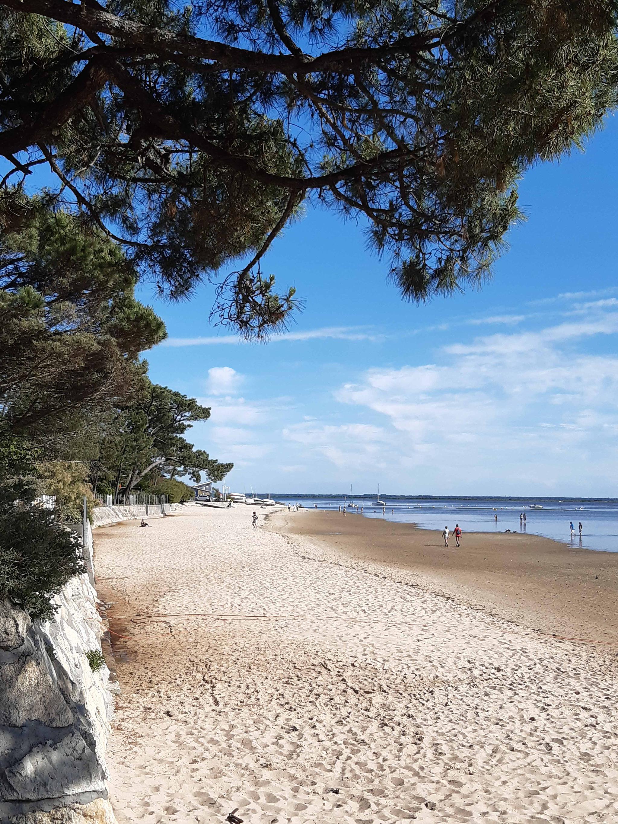 Gîte Les 2 Pins, Audenge - photo 3