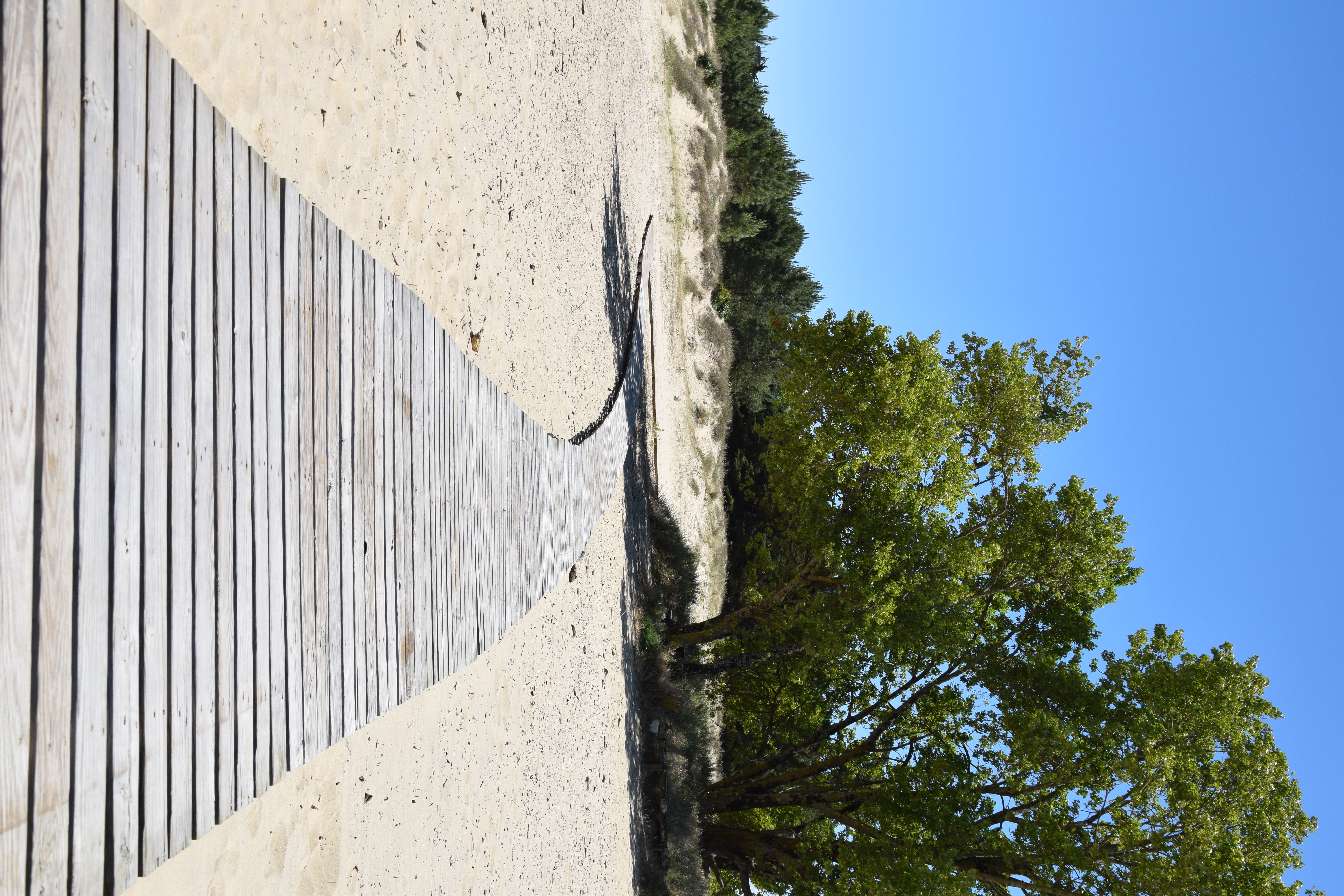 Les Pistes de Robin : Le Verdon-sur-Mer - photo 2