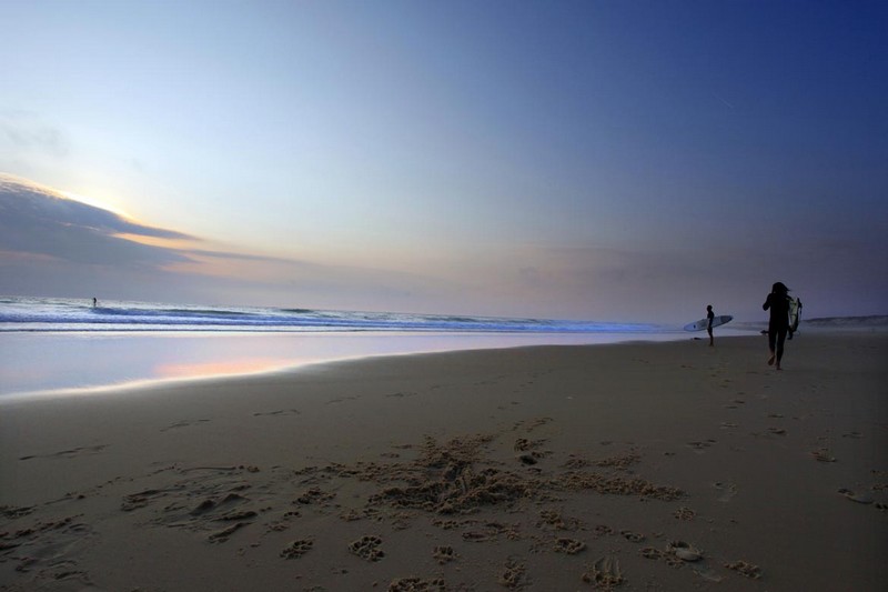 Plage Nord, Biscarrosse - photo 3
