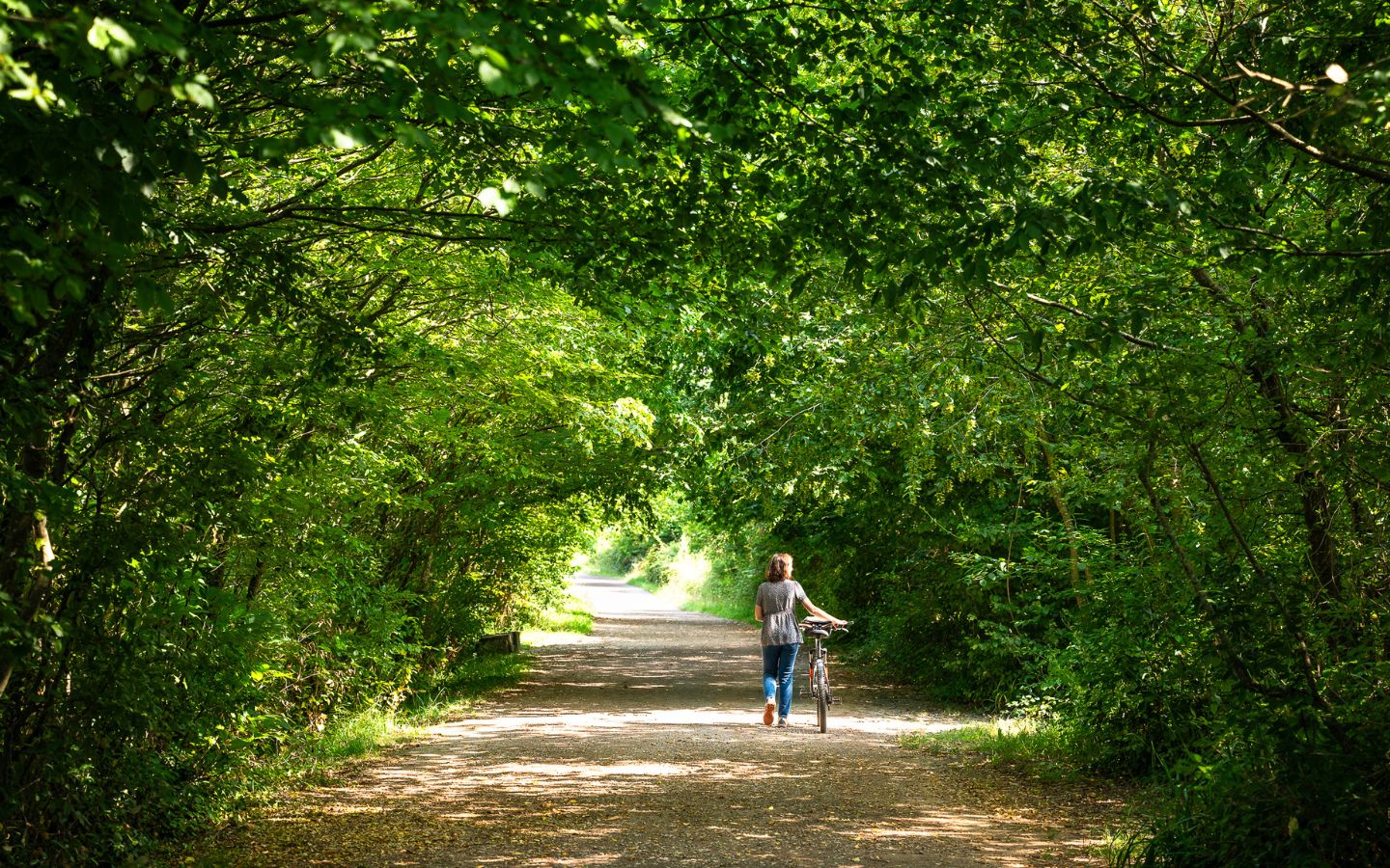 La Plaine d'Ansot — Curiosités naturelles à Pays Basque