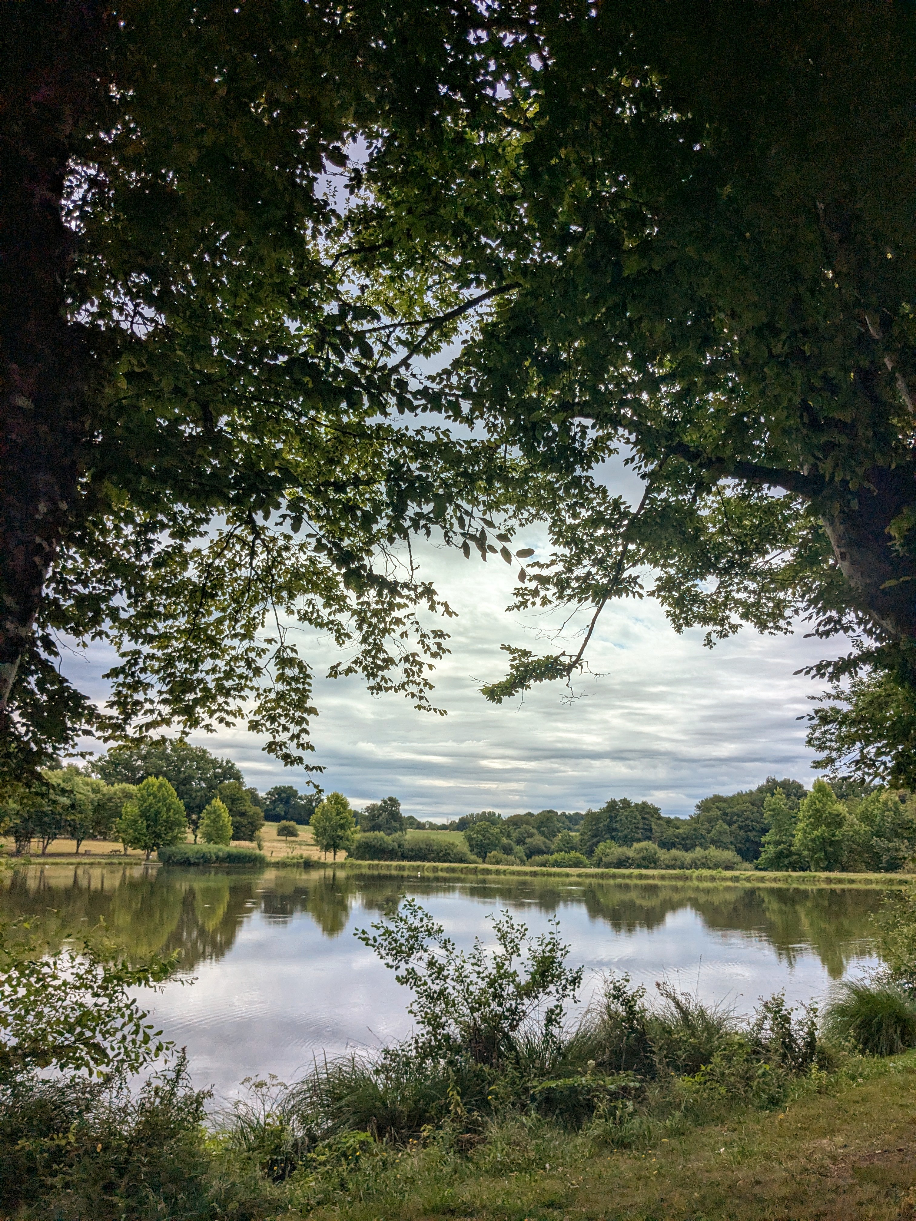 Aire de Pique Nique - Plan d'eau — photo 3
