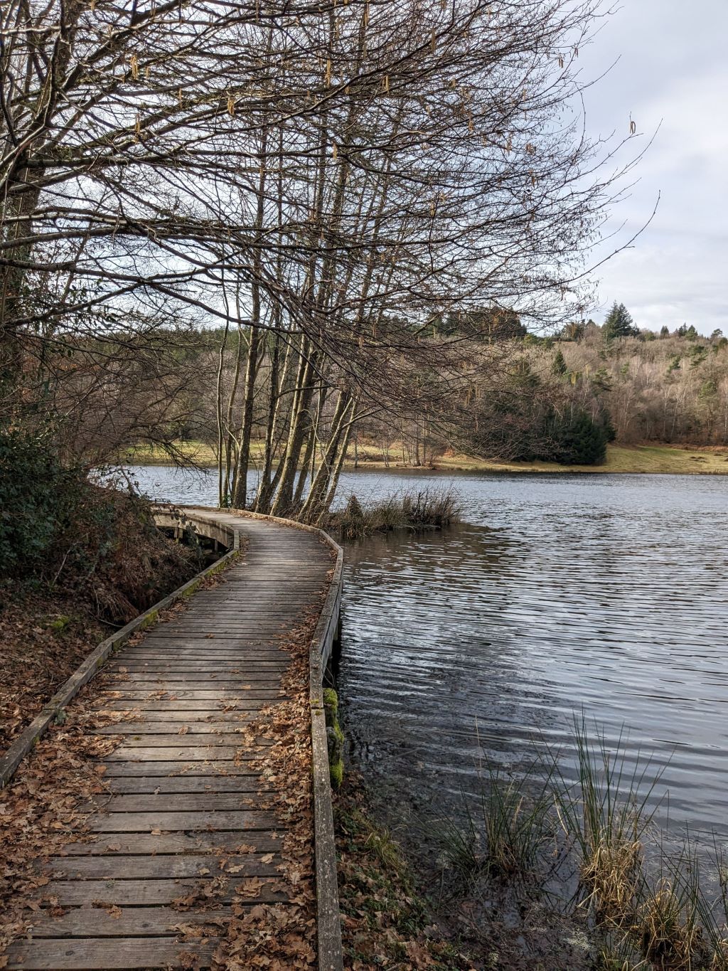 Puy Murat, Tarnac - photo 5