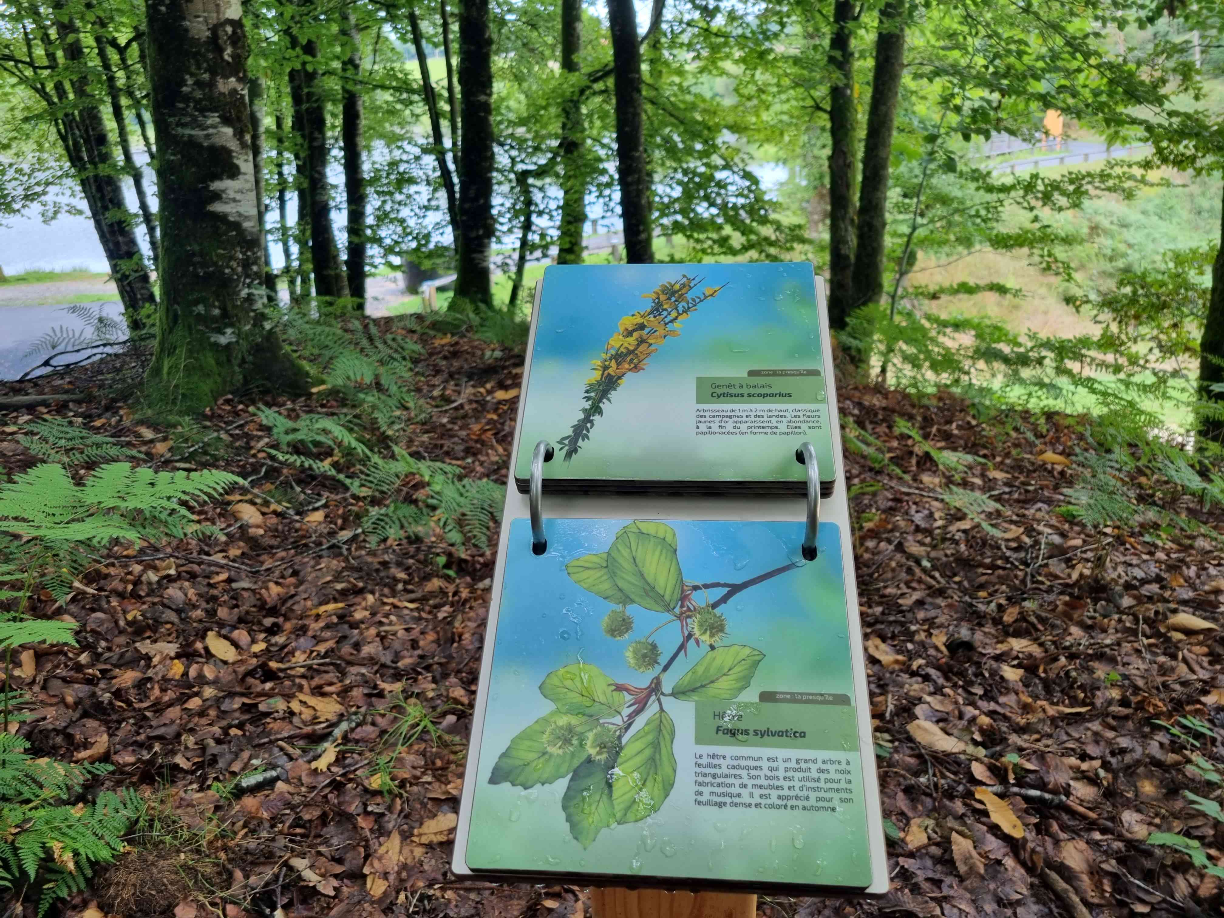 Étang de la Besse, Meilhards - photo 2