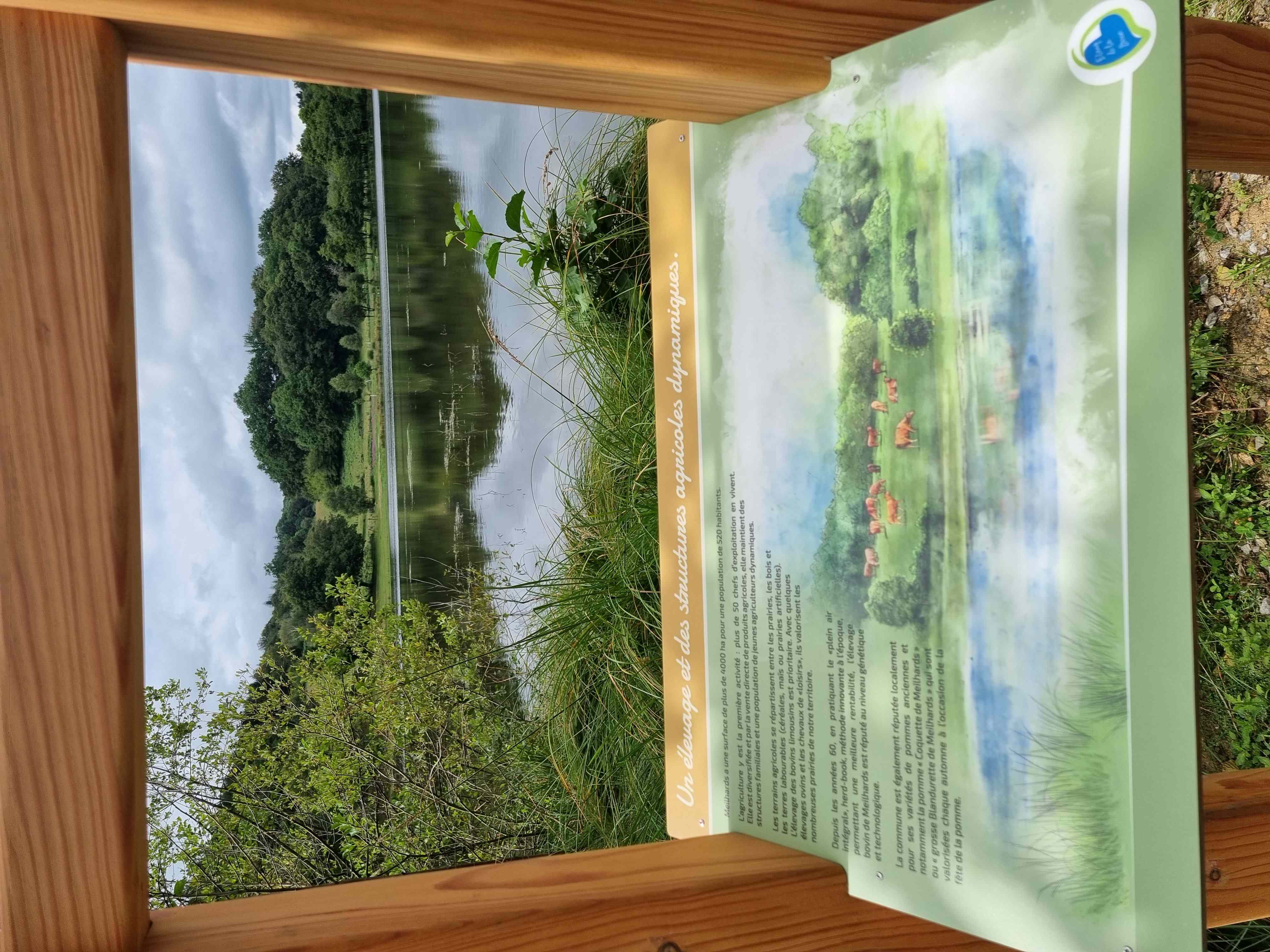 Étang de la Besse, Meilhards - photo 4