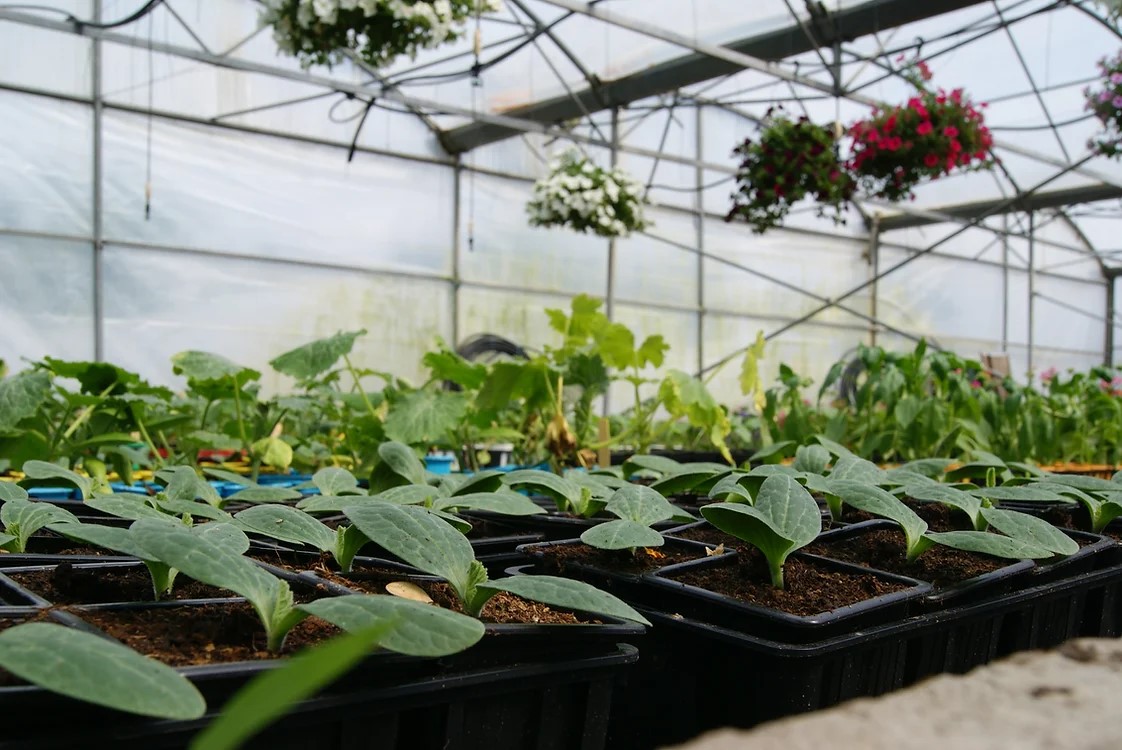 Les Jardins de Samba