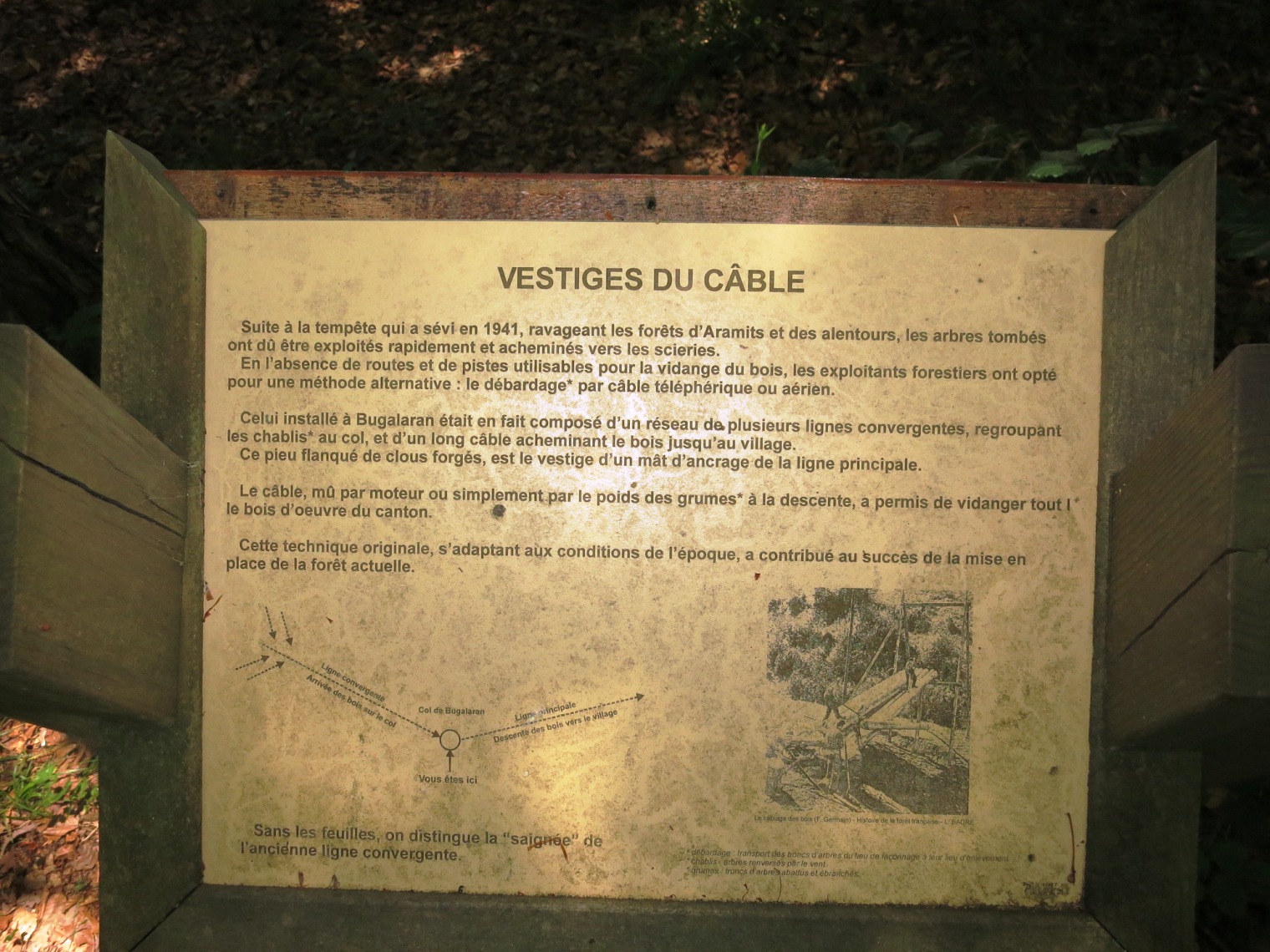 N°7 Barétous - Bois de Gouloume, Aramits - photo 13