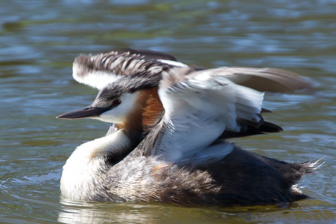 Lac du Salabert, Lacépède - photo 5
