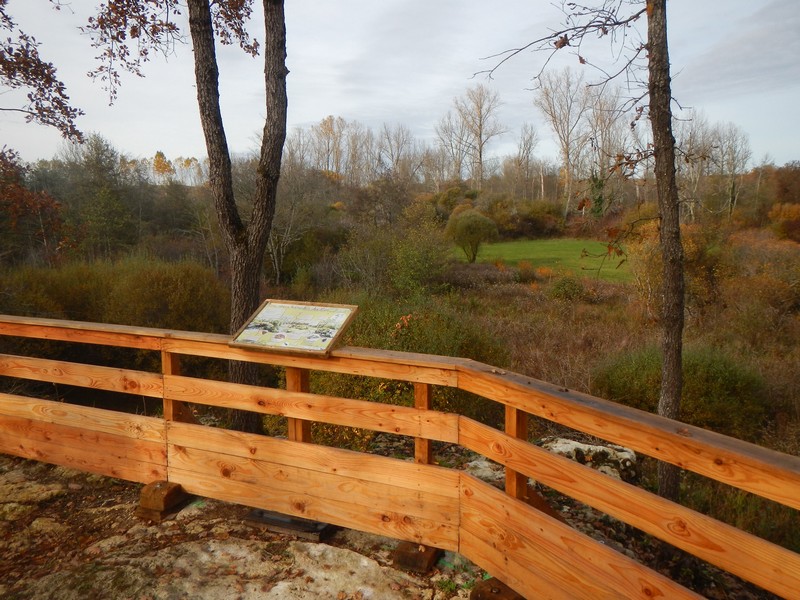 Zone Humide du Roc, Saint-Just - photo 2