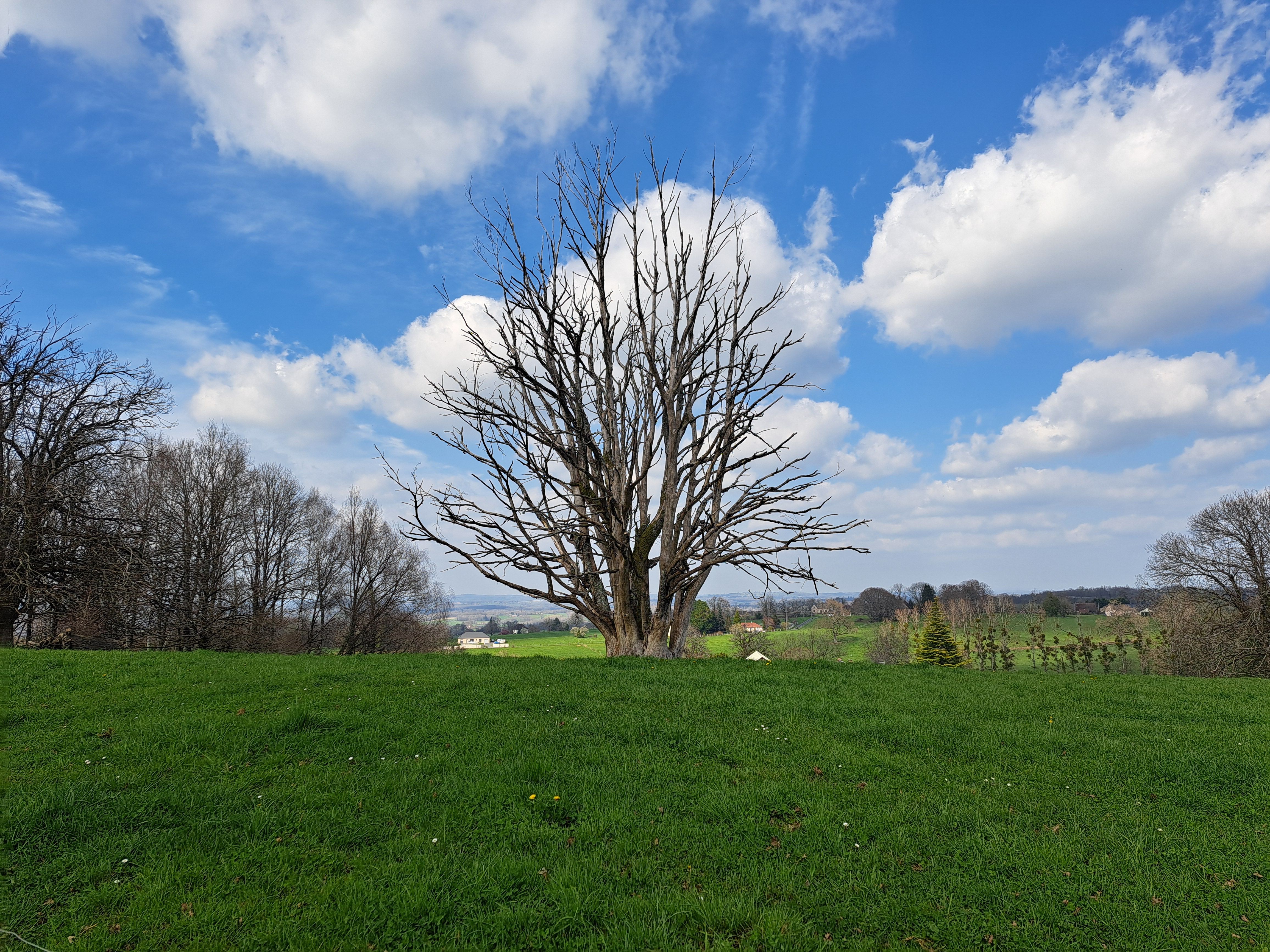 Chignac, Arnac-Pompadour - photo 3