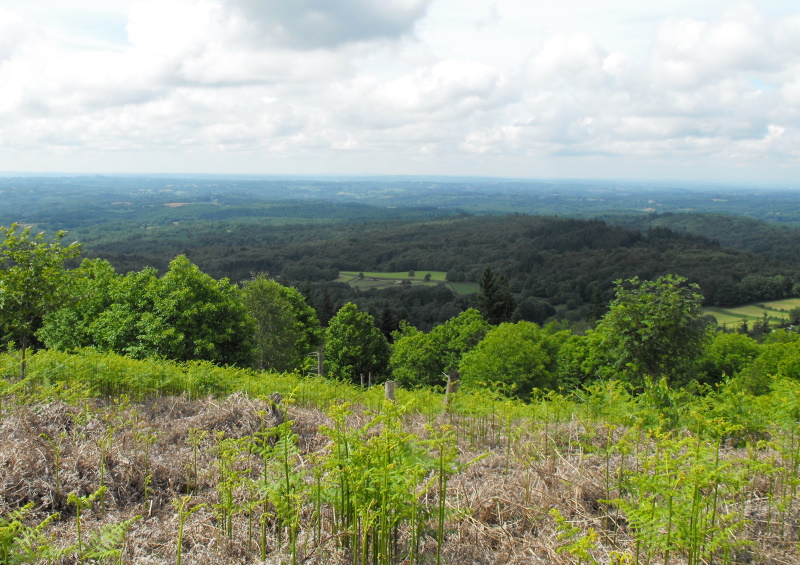 Base VTT FFC des Monts du Limousin - Circuit 14 Pierres sèches