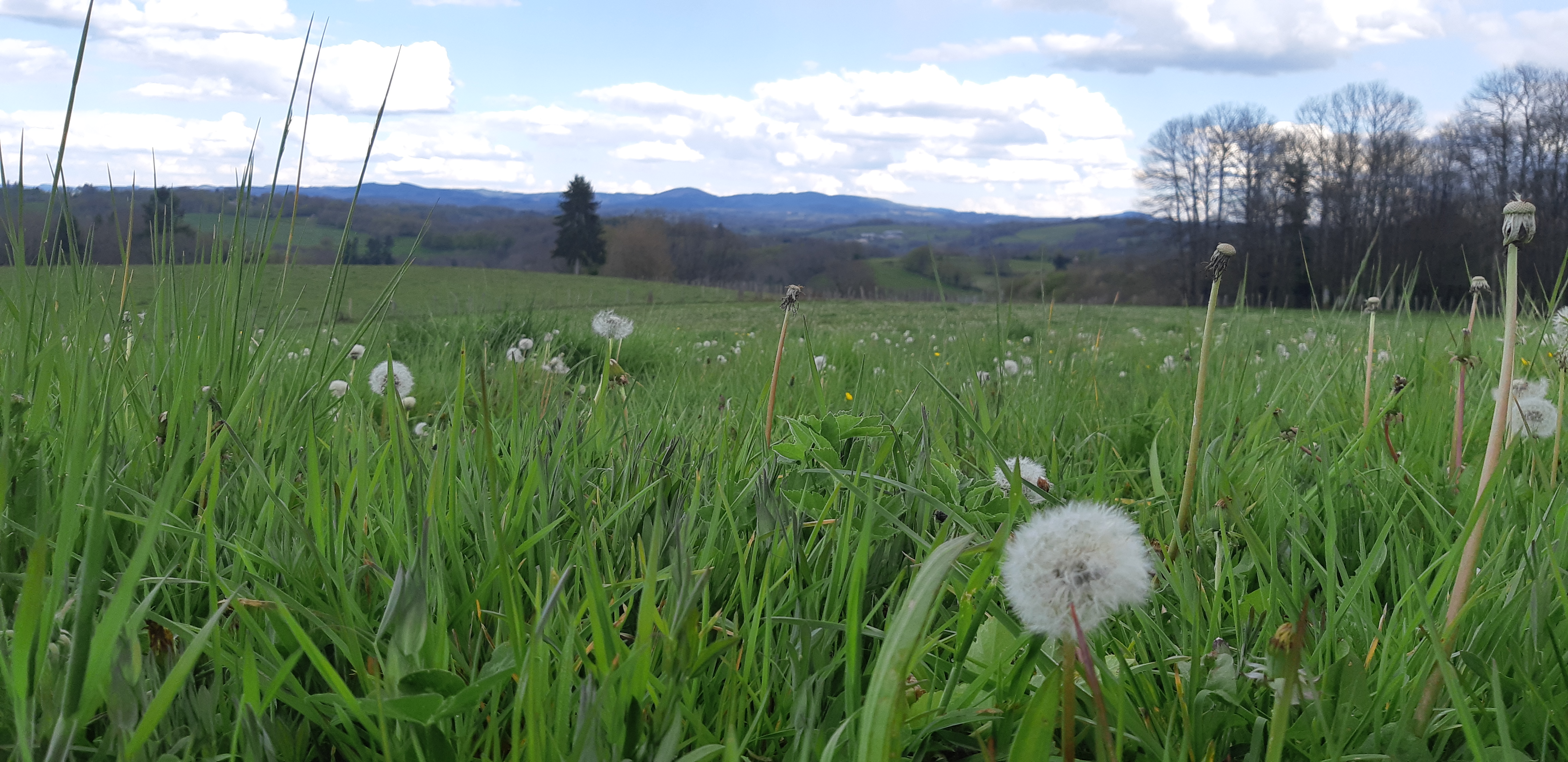 Circuit des deux bourgs, Eyburie