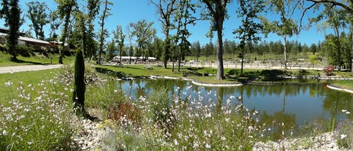Pôle hippique Lou Chibaou - photo 2