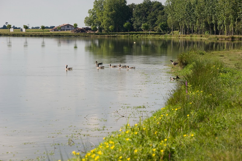 Lac de Tastoa - photo 3