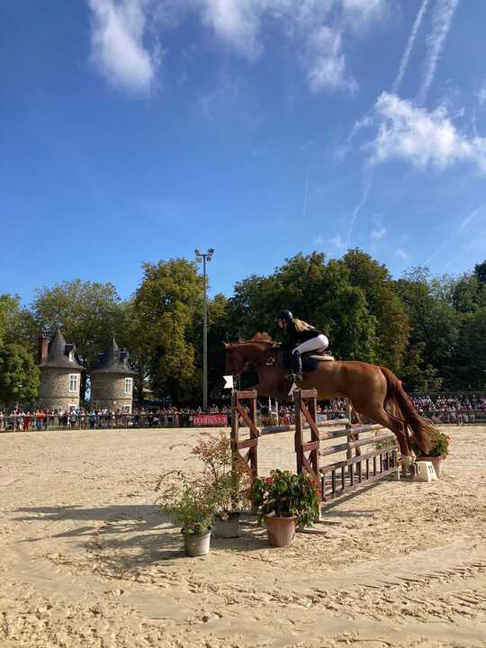 Les coulisses de la Journée du Cheval - photo 3