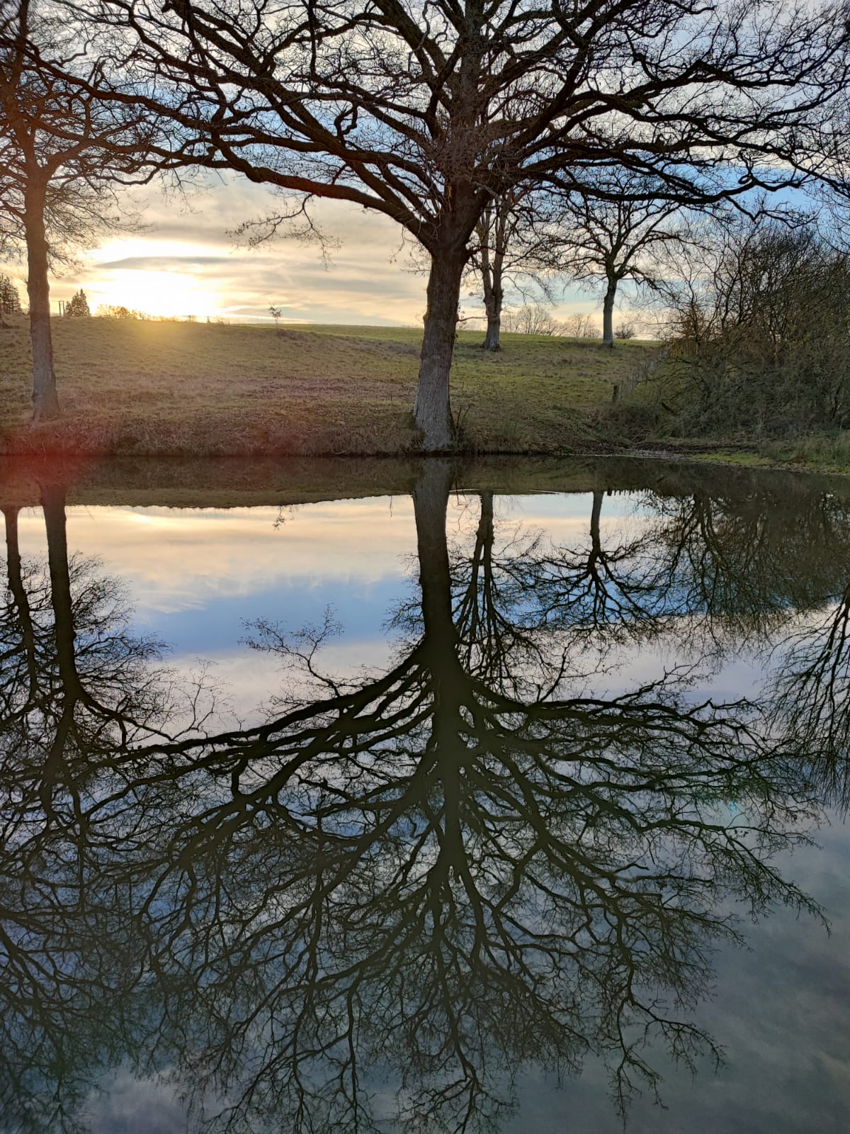 Hirondelle, Peyrat-de-Bellac - photo 8