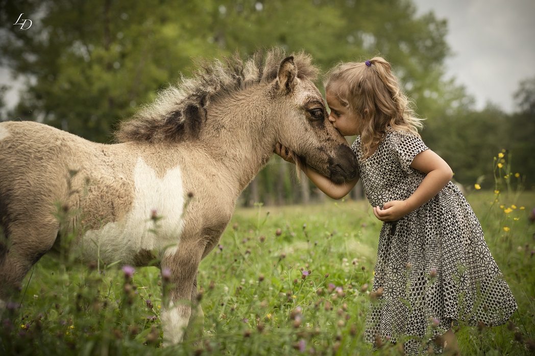 Poney Club Domaine d'Aure - photo 3