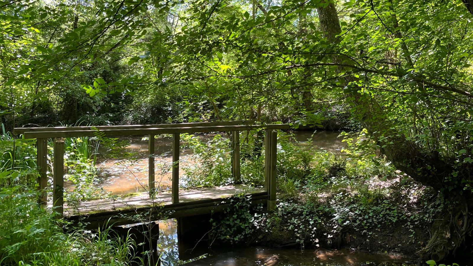 Boucle "Entre Garonne et Vignes", Beautiran