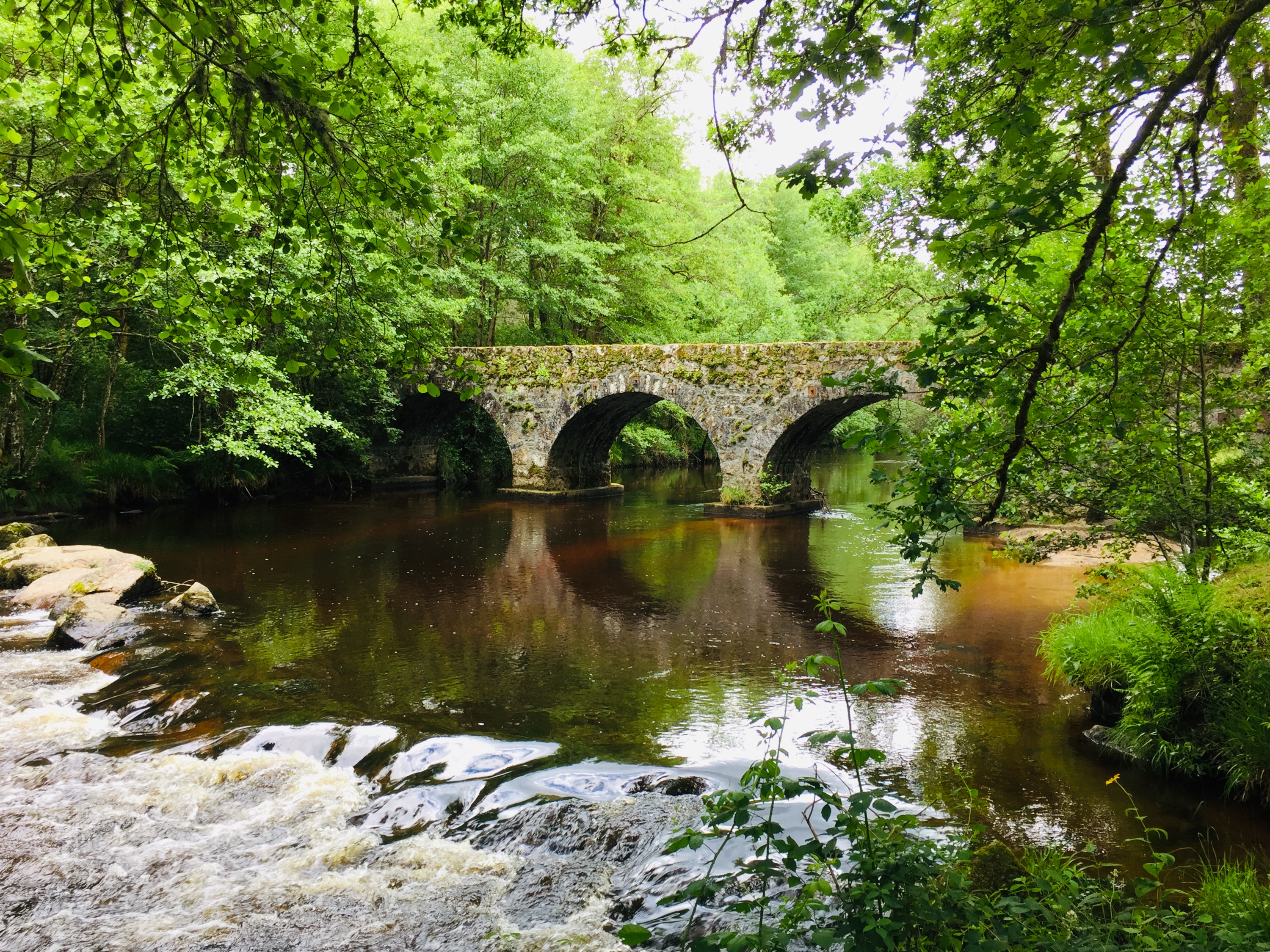 Pont de Claveyrolas, Nedde - photo 3