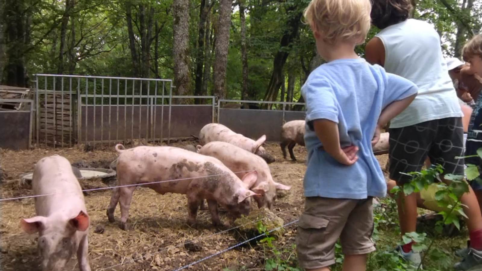 Les visites de fermes en Périgord Ribéracois et en Pays de Saint-Aulaye — photo 3