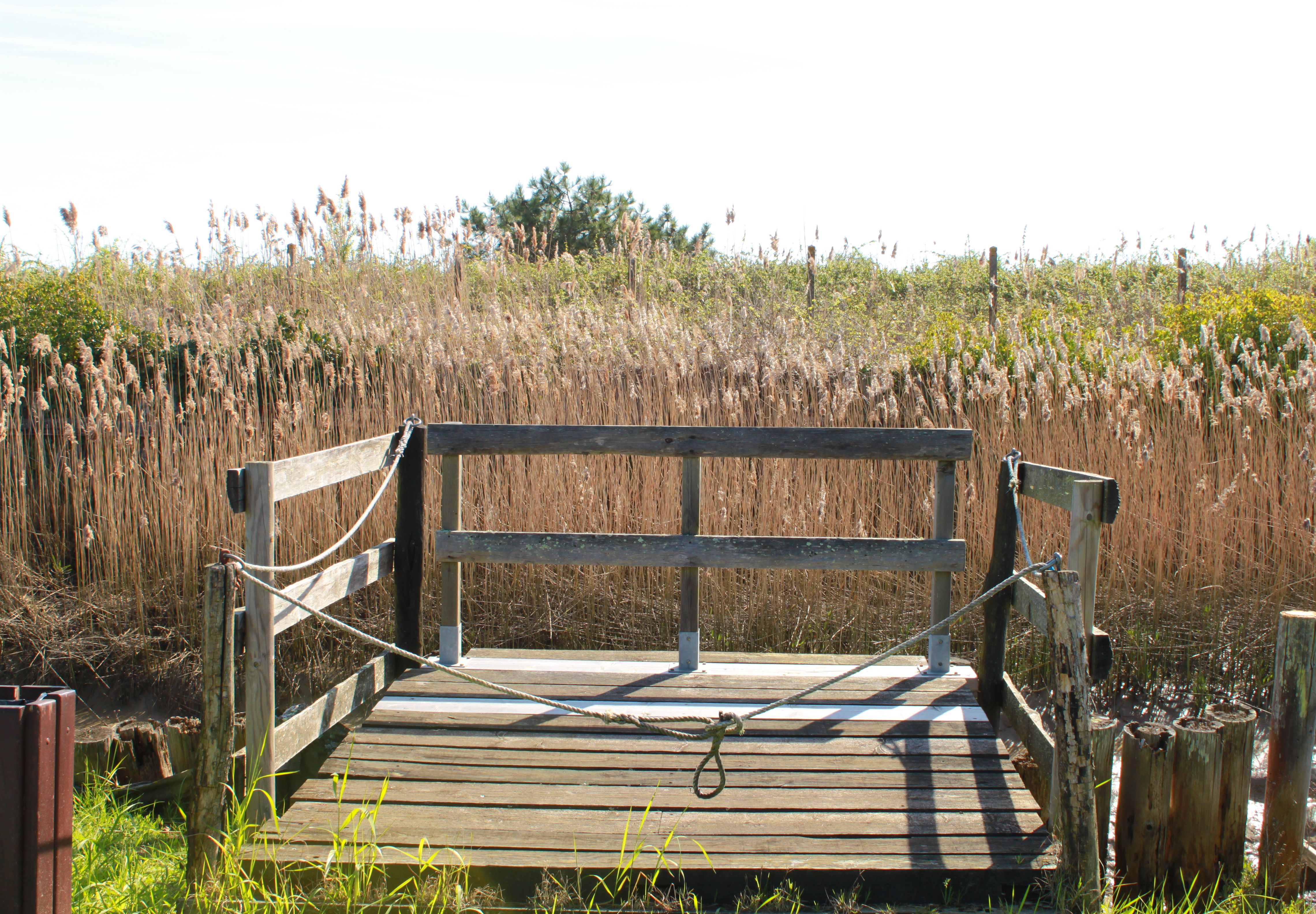La Verdonnaise, Le Verdon-sur-Mer - photo 4