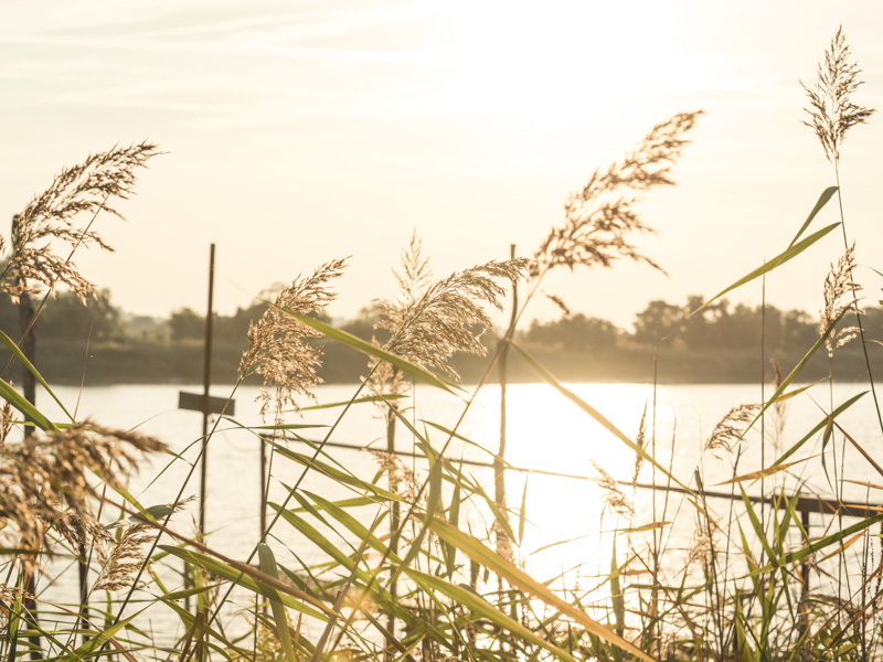 Port d'Issan - photo 3