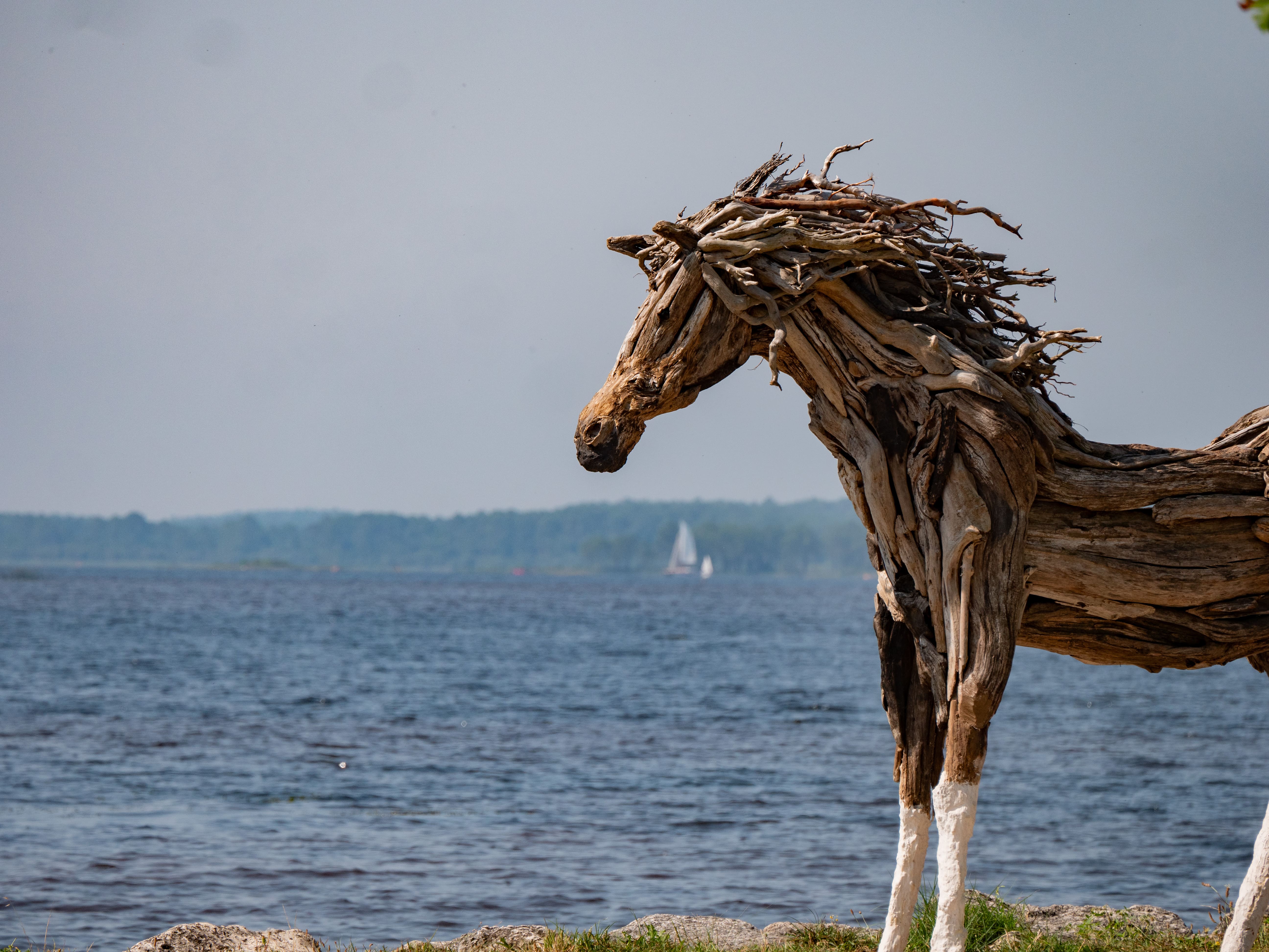Lac de Lacanau, Lacanau - photo 2