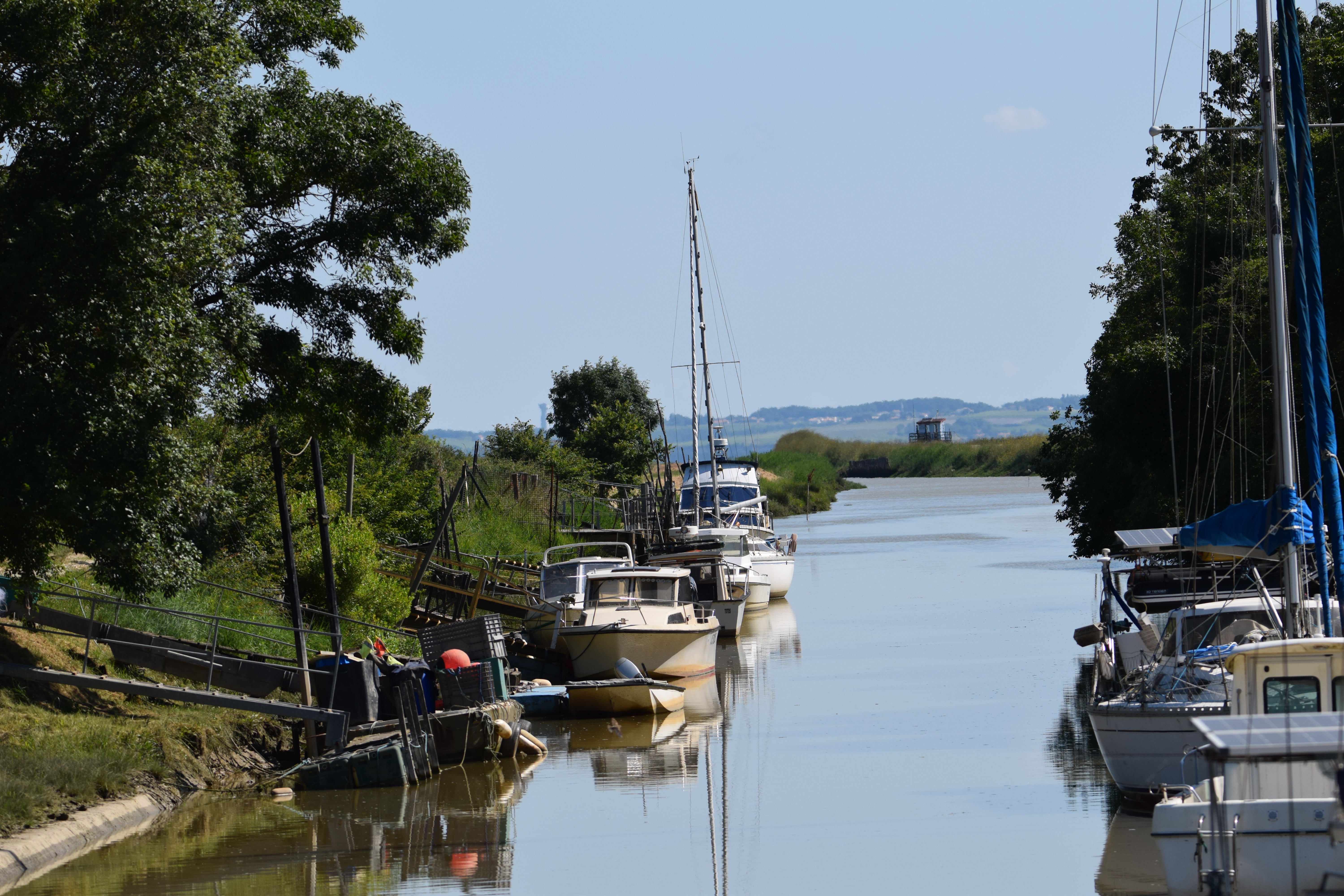 Boucle du Phare de Richard, Jau-Dignac-et-Loirac - photo 22