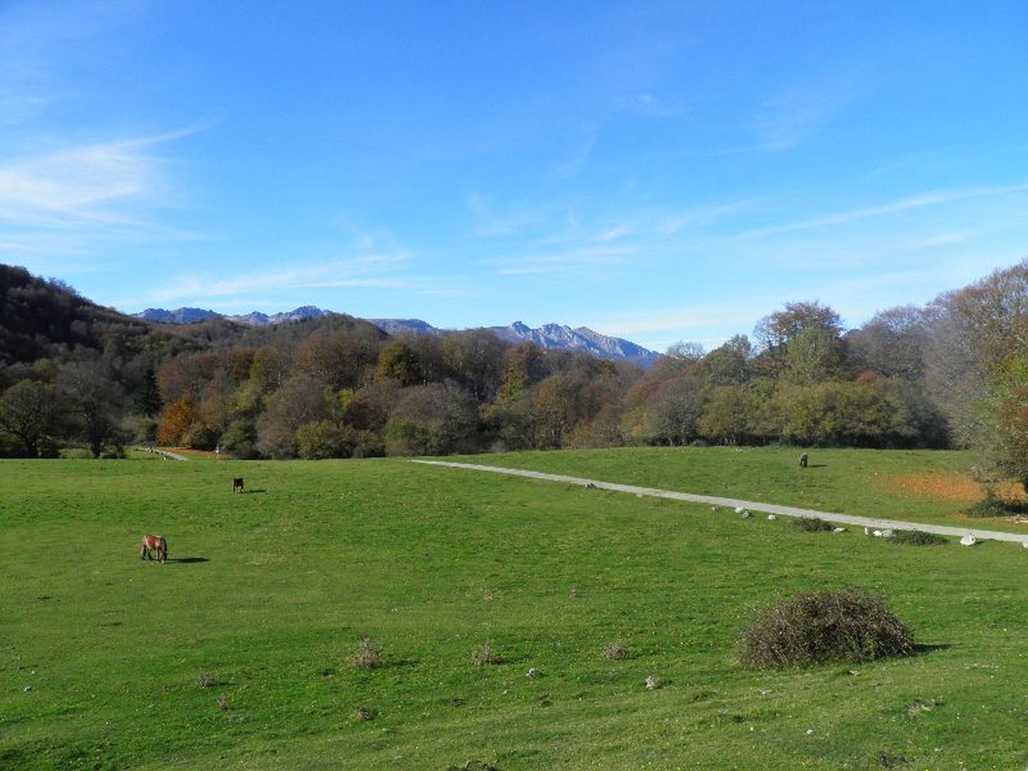 Port de Castet, Castet - photo 5