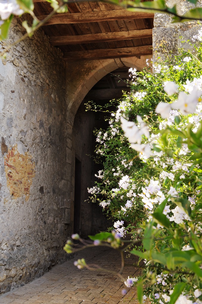 Fortifications médiévales, Saint-Sever - photo 4