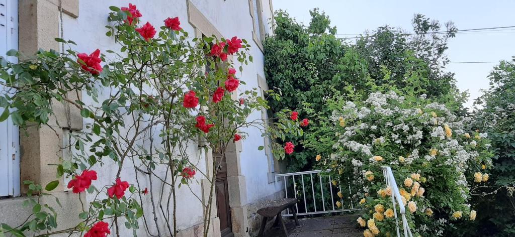 Le clos des chênes, Rougnat - photo 8