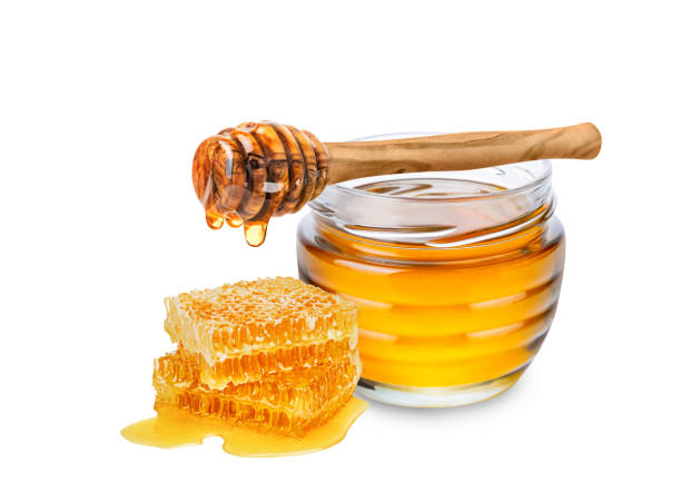 Conférence sur les abeilles