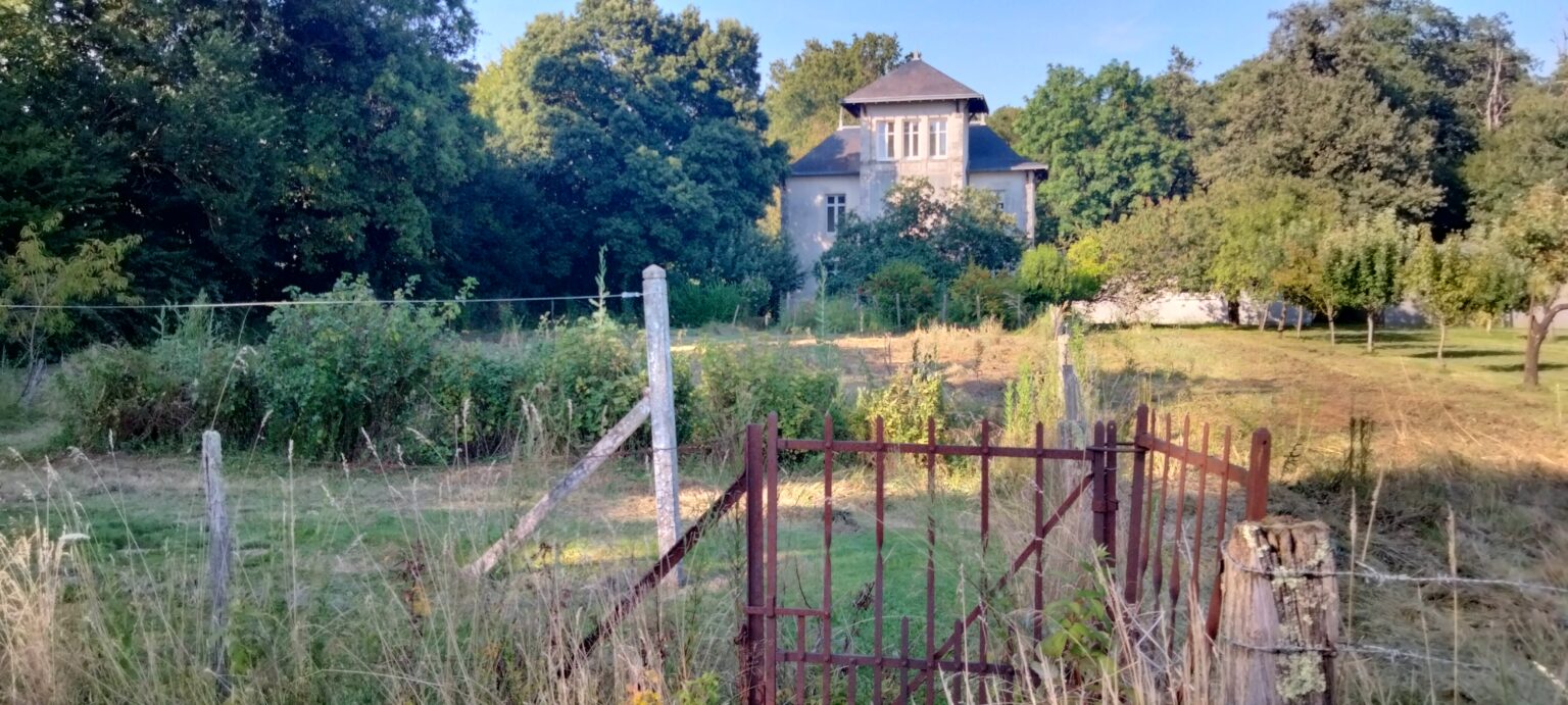 Château la Séchère, Usson-du-Poitou - photo 4