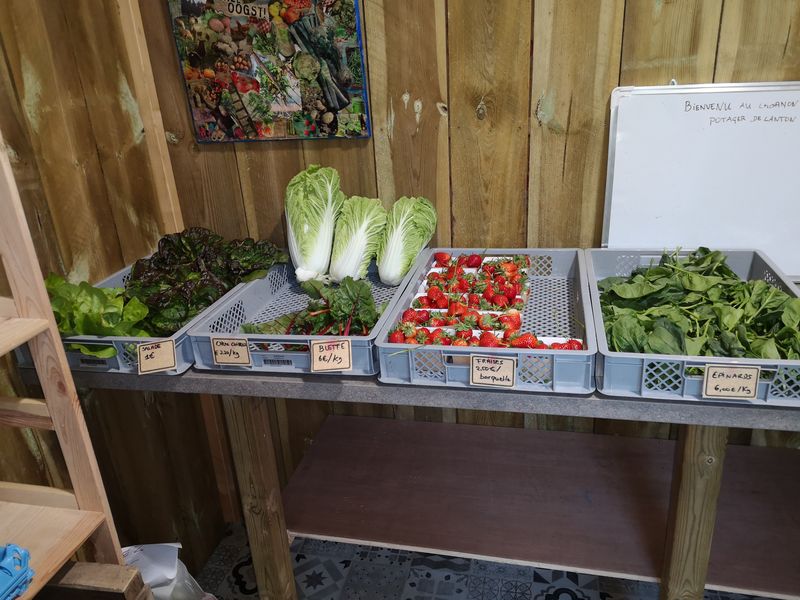 Le potager de Lanton