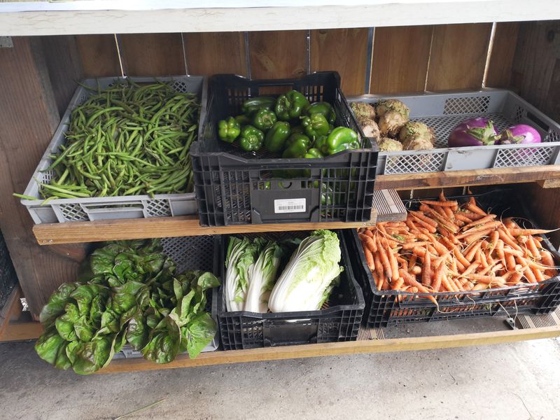 Le potager de Lanton — photo 3