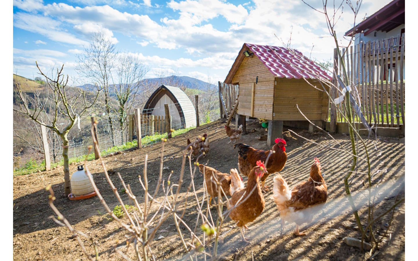 Location Nerea - Studio Baigura, Hasparren - photo 5