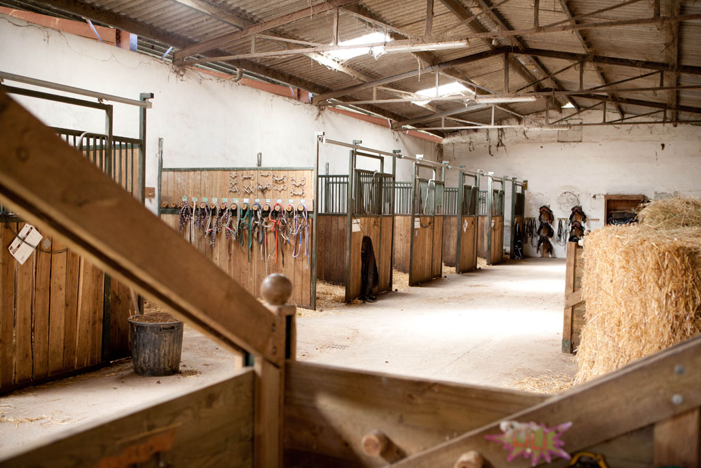 Poun's Nature & Cie, Bretagne-de-Marsan - photo 4