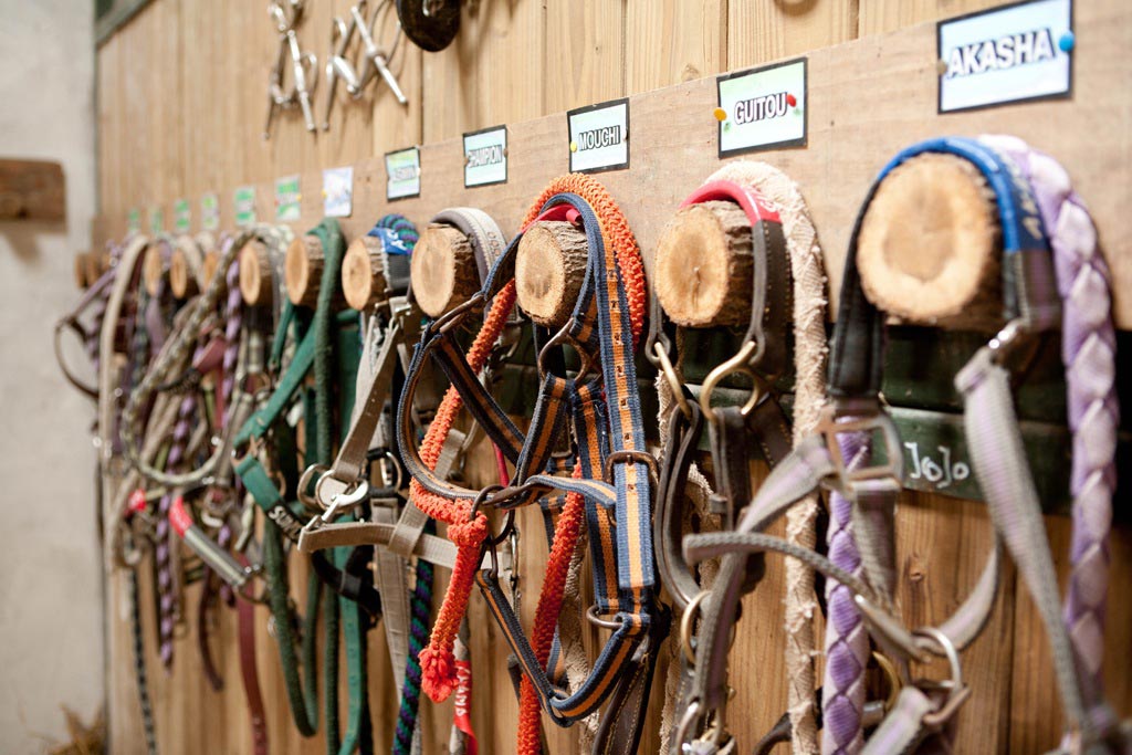 Poun's Nature & Cie, Bretagne-de-Marsan - photo 7