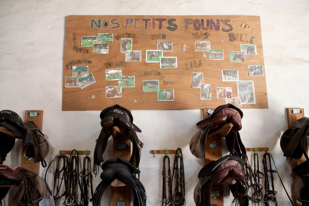 Poun's Nature & Cie, Bretagne-de-Marsan - photo 3